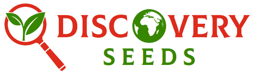discovery-seeds-logo