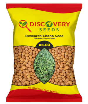 RE. GRAM (CHANA) – DS – 03