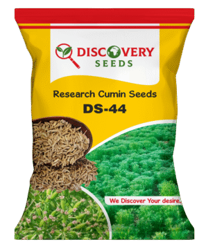 RE. CUMIN – DS – 44