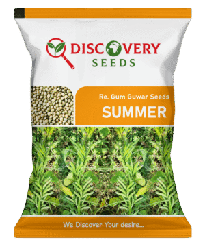 RE. GUM GUWAR – SUMMER