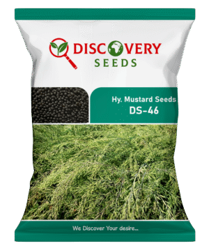 HY. MUSTARD - DS-46