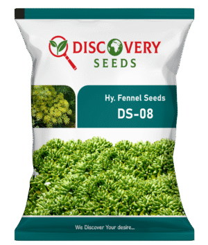 HY. FENNEL - DS-08