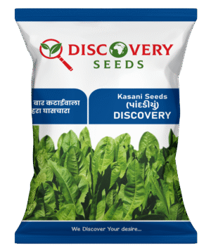 RE. KASANI - DISCOVERY