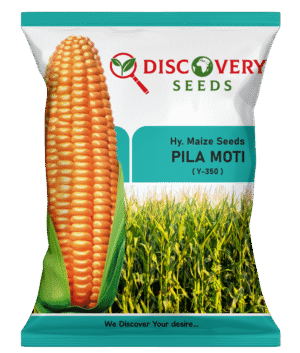 HY. MAIZE – PILA MOTI (Y-350)