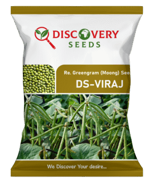 RE. MOONG – DS-VIRAJ