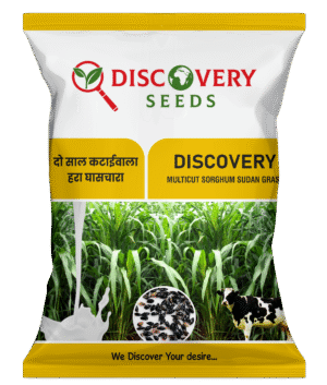 HY. MULTICUT SSG – DISCOVERY