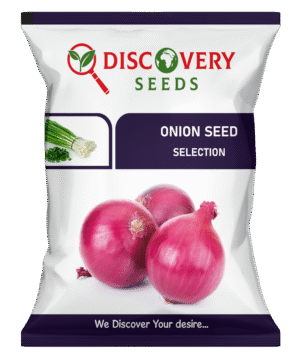 ONION - DISCOVERY (N-53)