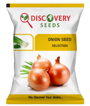 ONION – DISCOVERY (PILI PATTI)