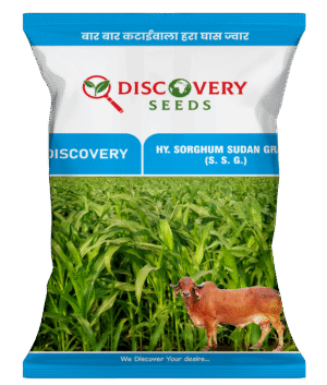 HY. S.S.G. - DISCOVERY