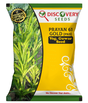 VEG. GUWAR – PNB