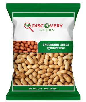 RE. GROUNDNUT – DISCOVERY
